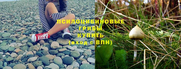 MDMA Premium VHQ Горнозаводск