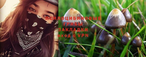 PSILOCYBIN Горняк