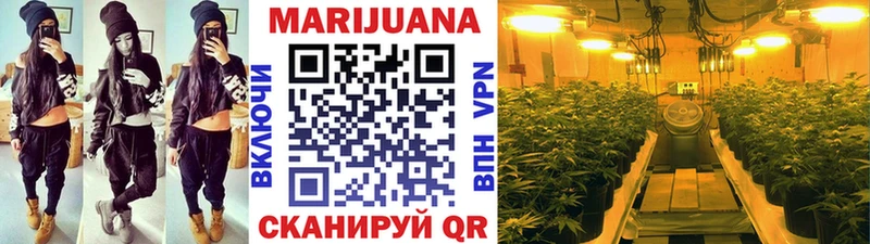 Каннабис планчик где купить Дмитров